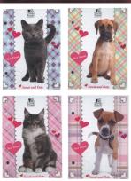 Opakowanie Wkład do segregatora A6 Cleo 1 Frank 10 sztuk mix