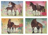 Opakowanie Wkład do segregatora A6 Konie 10 sztuk mix