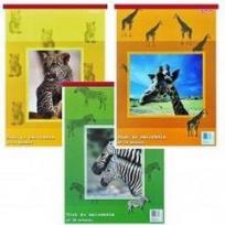 Opakowanie Blok do malowania A3/30K Earth Call (5szt)