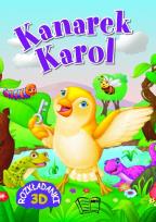 Okładka książki Kanarek Karol Rozkładanki 3D