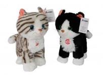 Opakowanie Kot Cykor z dźwiękiem 20 cm, 2 kolory