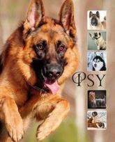 Okładka książki Psy