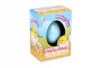 Opakowanie Wykluwający się kurczaczek z jajka