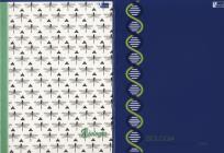 Opakowanie Zeszyt A5 Biologia w kratkę 80 kartek 10 sztuk mix