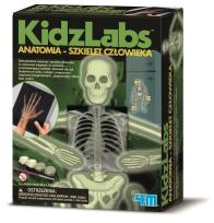 Okładka książki Anatomia Szkielet człowieka