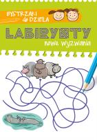 Okładka książki Bystrzaki do dzieła. Labirynty. Nowe wyzwania