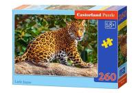 Opakowanie Puzzle 260 Little Jaguar