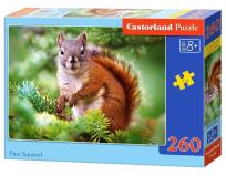 Opakowanie Puzzle 260 Pine Squirrel