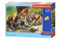 Opakowanie Puzzle 260 The Shell Game