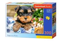 Opakowanie Puzzle Puppy-on-a-Picnic 300