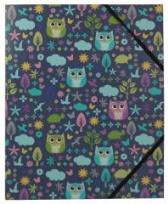 Opakowanie Teczka A4 Sowy COLOR CREATION