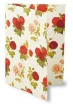 Opakowanie Teczka na dokumenty FF 534B ROSSI