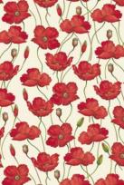 Opakowanie Teczka na dokumenty FF 583B ROSSI