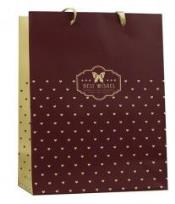 Opakowanie Torebka prezentowa 18x23 PAUL&CO.