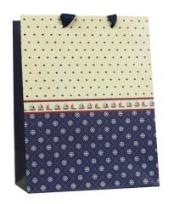 Opakowanie Torebka prezentowa 18x23 PAUL&CO.