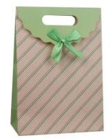 Opakowanie Torebka prezentowa 19x27 PAUL&CO