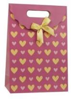 Opakowanie Torebka prezentowa 19x27 PAUL&CO