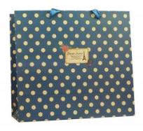 Opakowanie Torebka prezentowa 30,5x27 PAUL&CO.