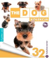 Opakowanie Yorkshire Terier