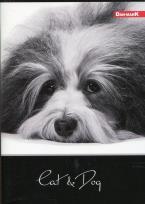 Opakowanie Zeszyt A5 w kratkę 96 kartek Cat&Dog