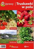 Okładka książki ABC Uprawy. Truskawki w polu