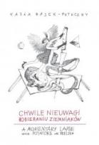 Okładka książki Chwile nieuwagi przy obieraniu ziemniaków