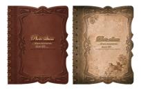 Opakowanie Foto album 80 DELPHI Retro