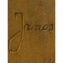 Okładka książki Janos Józef z Dymbna