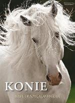 Okładka książki Konie