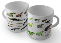 Opakowanie Kubek - Płazy SOLITON