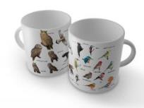 Okładka książki Kubek ptaki polski 2