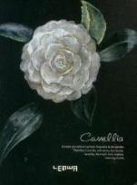 Opakowanie Notes A6/100K