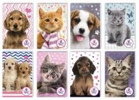 Opakowanie Notes A7 30 kartek z poddrukiem