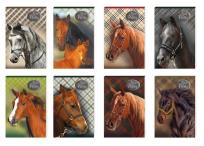 Opakowanie Notes A7 30 kartek z poddrukiem