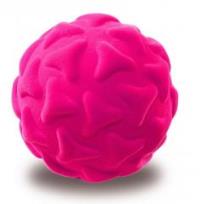 Opakowanie Piłka lew morski