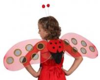 Opakowanie Skrzydła Biedronki z opaską