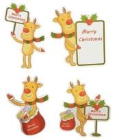 Opakowanie Tagi do prezentów 16 szt.