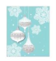 Opakowanie Torba prezentowa 26x32