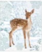 Opakowanie Torba prezentowa 26x32