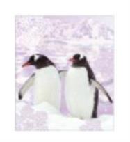 Opakowanie Torebka prezentowa 18x23