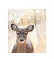 Opakowanie Torebka prezentowa 18x23