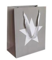 Opakowanie Torebka prezentowa 18x23 CHRISTMAS JOY