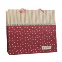 Opakowanie Torebka prezentowa 27x30 PAUL&CO.