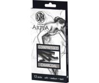 Opakowanie Zestaw węgli prasowanych 12 sztuk ASTRA