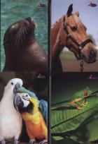 Opakowanie Brulion A5 Animals w kratkę 96 kartek mix