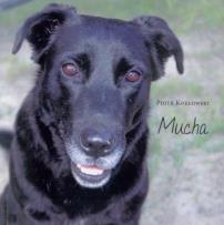 Okładka książki Mucha