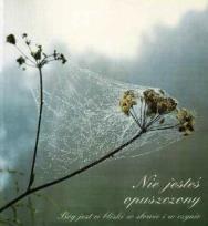 Okładka książki Nie jesteś opuszczony