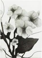 Opakowanie Notes 80k A6