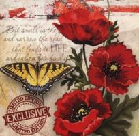 Opakowanie Notes ozdobny 100x100 w linie 60 stron mix