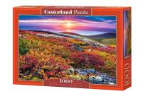 Opakowanie Puzzle 1000 Nothern Palette CASTOR